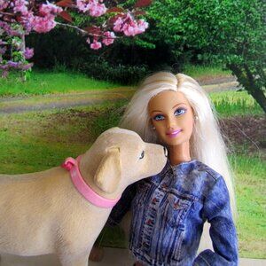 BARBIE + DOG, A WIN-WIN STORY, SEE ALL THE PHOTOS.  ARTICULATED DOLL w CLOTHES